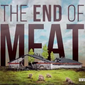 Towards a world without domination and the end of meat
